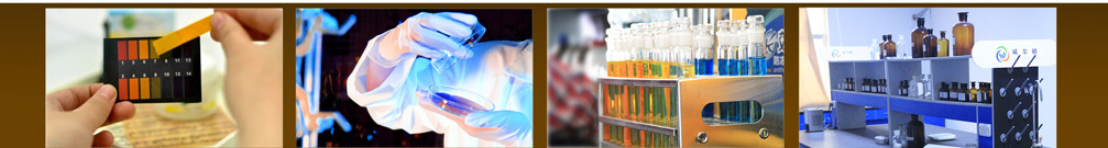 濰坊威爾頓科技有限公司廠容廠貌